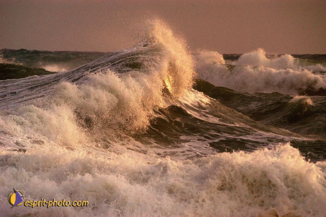 Nom de l'image : EP08-0370_(c)Norbert-JUNG — Description :